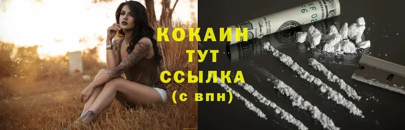 OMG онион  Камбарка  COCAIN Колумбийский  где найти  