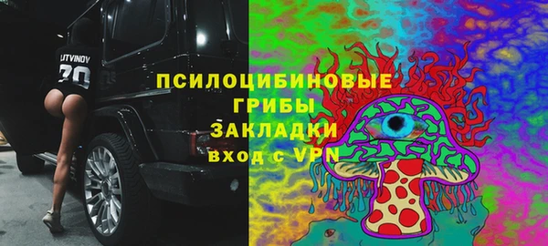 соль ск Надым