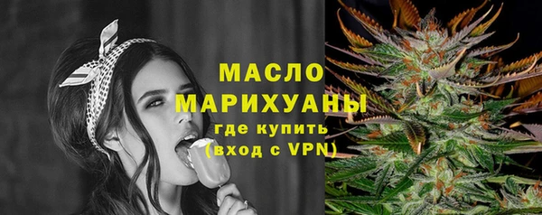 индика Михайлов