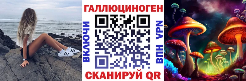 Псилоцибиновые грибы Cubensis  площадка как зайти  Камбарка 